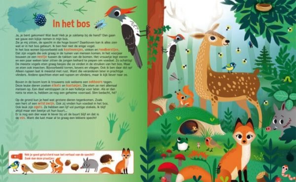 Zaklampboek- Speuren in de dierenwereld / Lantaarn 3