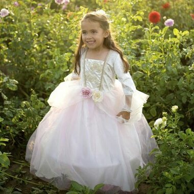 Golden Rose Princess jurk (5-6 jaar) / Great Pretenders